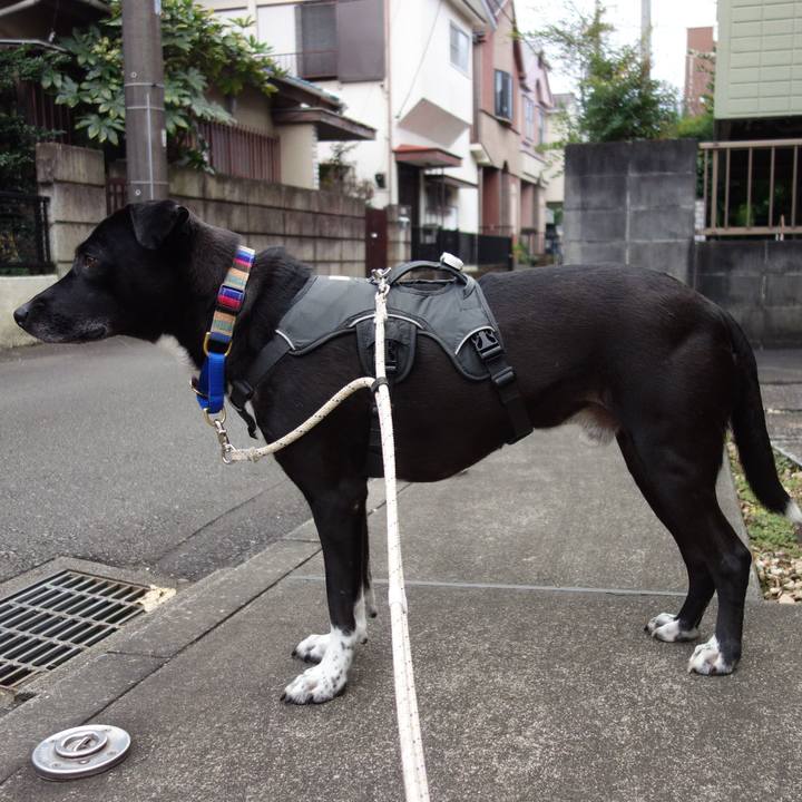 2fcc3632 f6c3 455c b89a e6d1733a4fa2 1637107827986