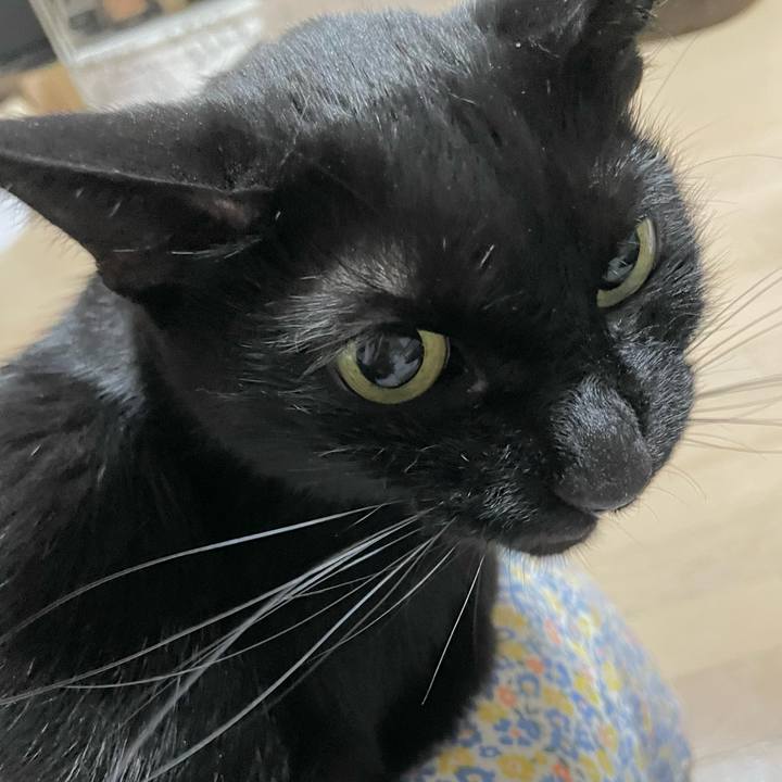 2fcc3b44 04d8 46e2 8800 0be1528b9ad5 1688734814034