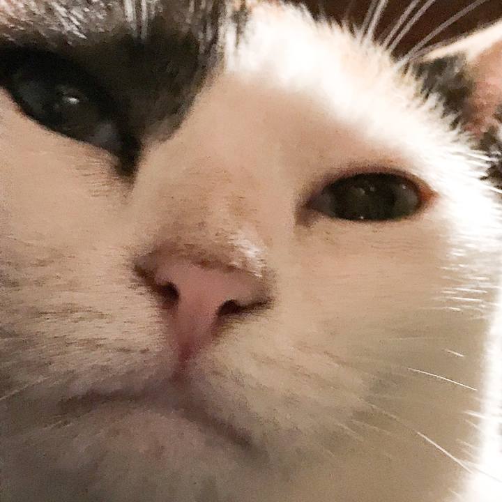 2fcc637a da40 432f 9099 65169e6f09c2 1532443119690