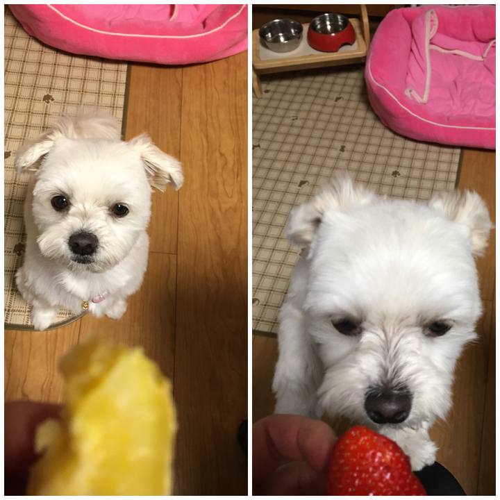 2fcc6540 14f9 457f add5 0419417fc40b 1517731749346