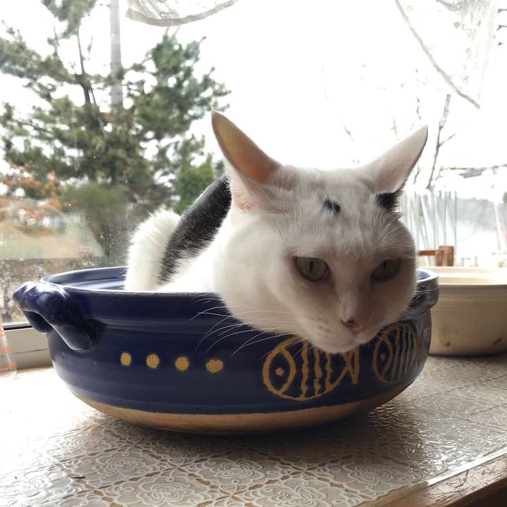 2fcc6ac9 9973 49a7 ab3b f361db747752 1590017575124