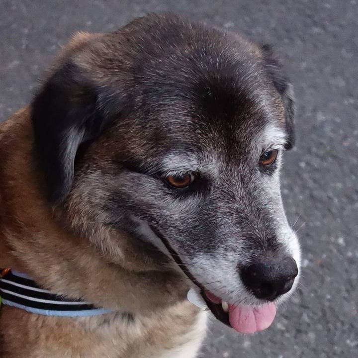 2fcc86d6 8544 4c1e 88e1 7e7cd7bd9788 1527330910416