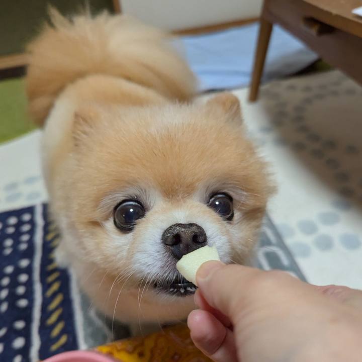 2fcc9362 9026 4c4d b610 020ed0683078 1759461019839