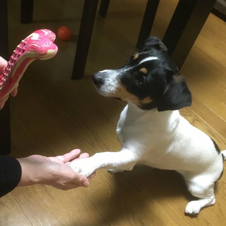 2fcd0dcd 2a16 473d abb2 bf8a8179f986 1576322411500