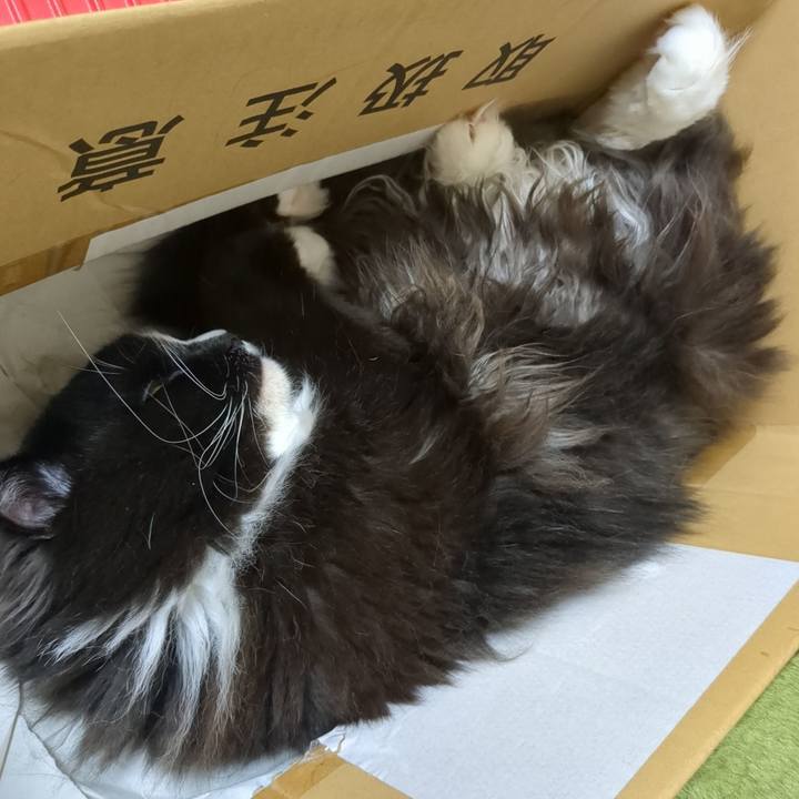 2fcd2721 28d8 47ea bceb c88c5815b20b 1747268894516