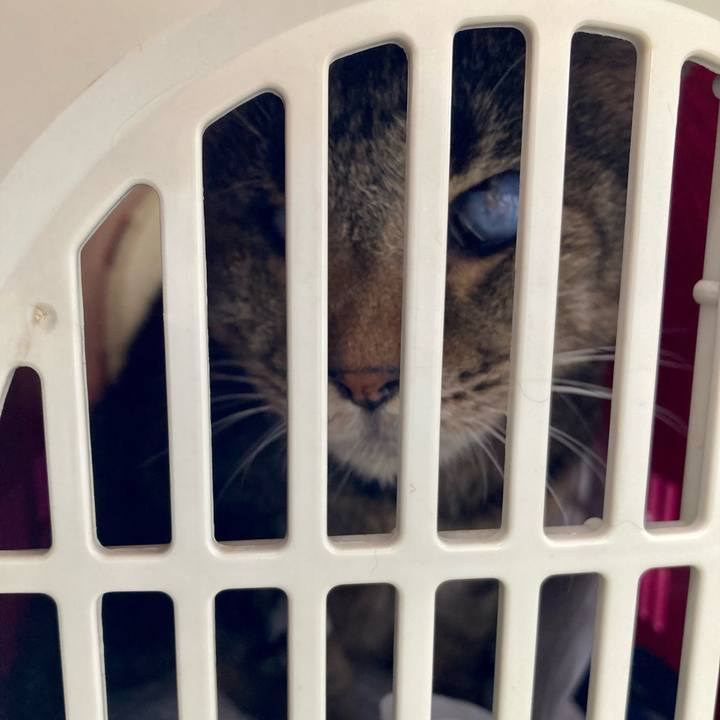 2fcd6271 6bd2 4dd8 9d2c 08b9d241f215 1663139483804