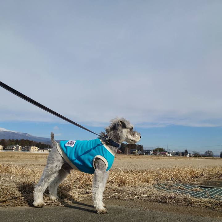 2fcd9397 5c58 432b b906 6a8cfe37368e 1773368157384