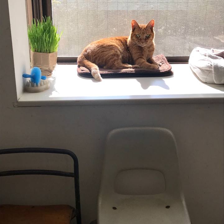 2fcd99c8 66b9 4570 9f5f a9d6ddab381d 1606356329066