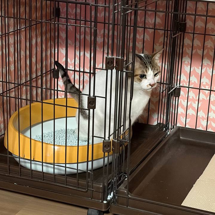 2fcda7a0 cdc5 4abe b4a2 01d3199979ed 1767862238374