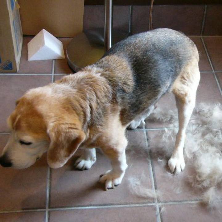 2fcda9dc ec85 487d b483 b11f3edb3229 1689552376689