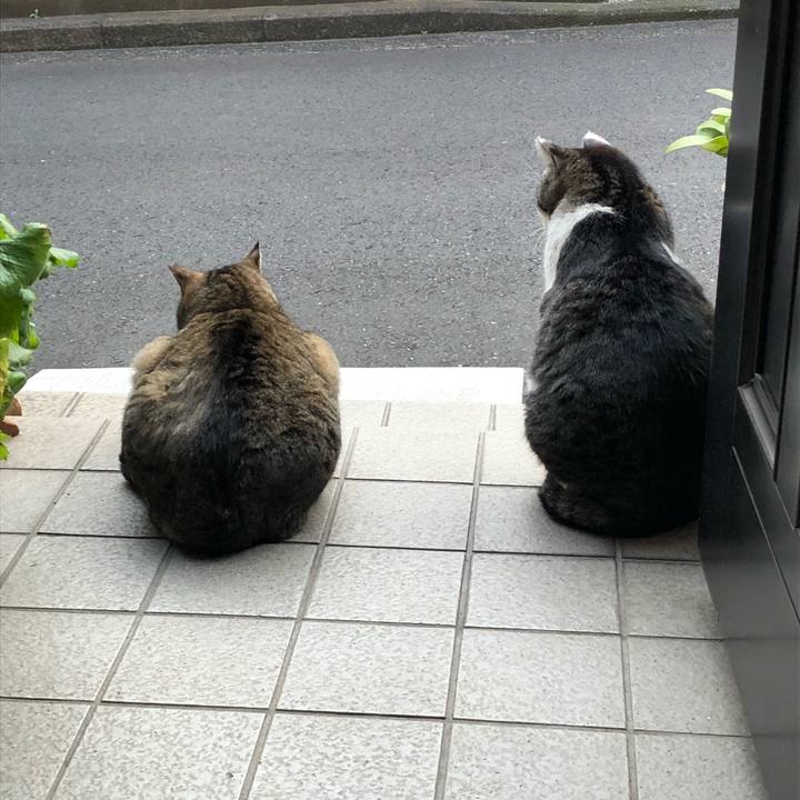 2fcdb999 9432 4ea9 bd01 05d8da789cec 1523272714914