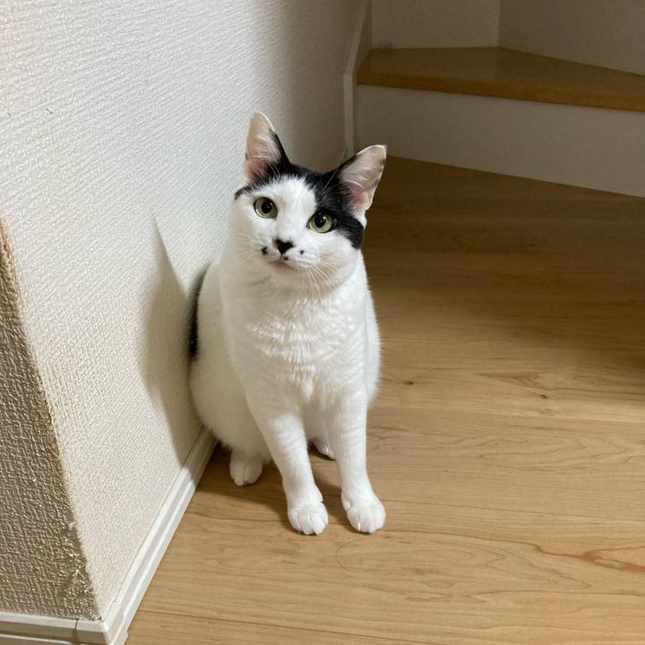 2fcdd80b 545f 417f a26f 3c14930431f4 1759436266593