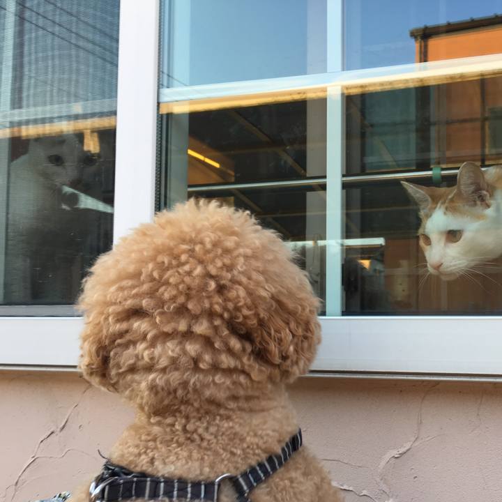 2fce2d55 49c0 46b1 b019 91cac53abf99 1531660548281