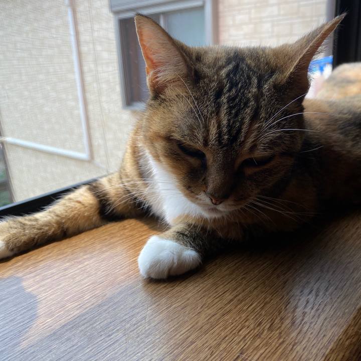 2fce67d6 817c 418e 9754 35c58c5906b6 1591491745250