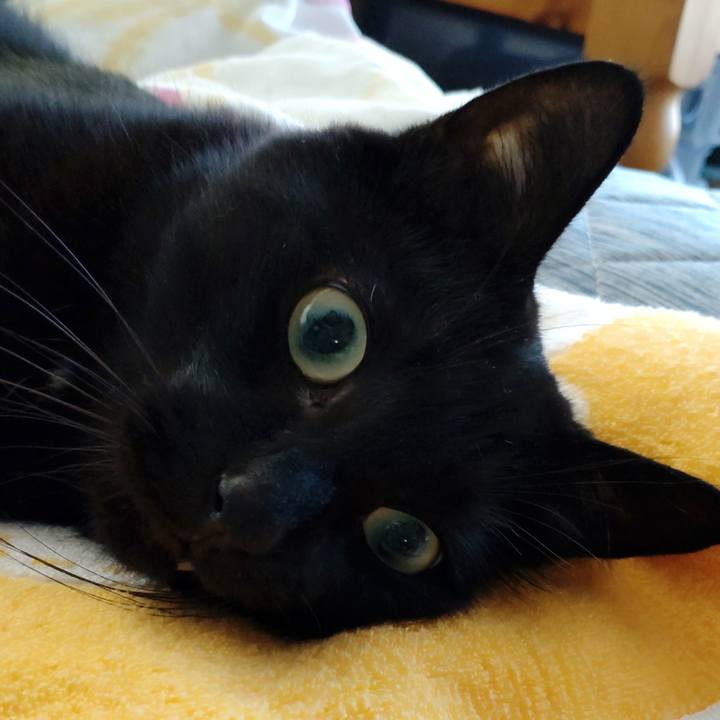 2fce9326 25b7 4f6c b541 d59c19e5f7ce 1666223353198