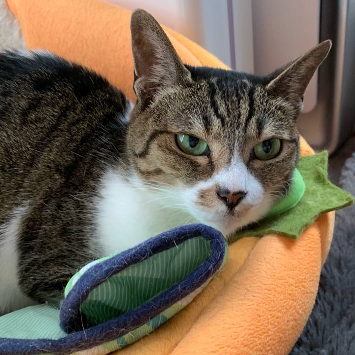 2fcea014 d1e2 45ff 8237 8a0e05f0b507 1560471487159