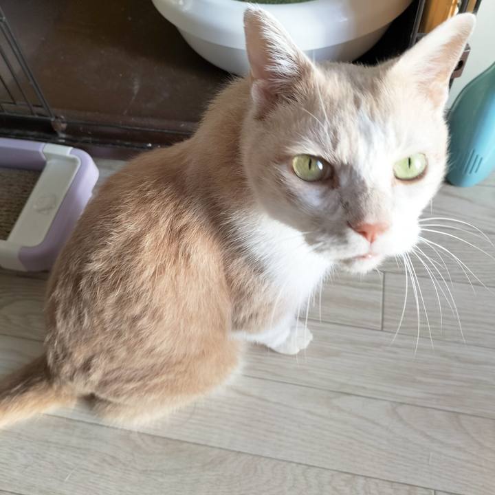 2fcec5c7 a43b 447c 8352 c2ba0819fda1 1665440977216