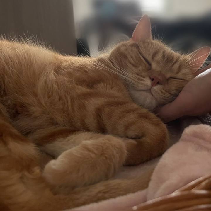 2fced3ba 7651 4197 aed7 a3918512a0bd 1622352495111