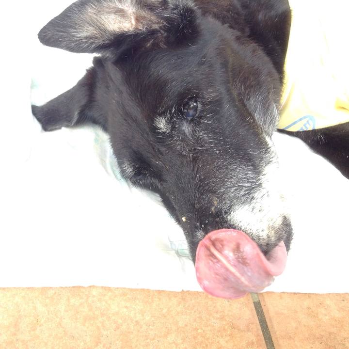 2fcee147 3d98 43ad 954b 261deaa4a11f 1516154330720