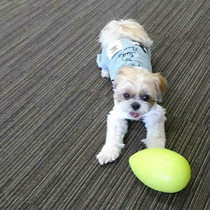 2fceecf3 bdbe 4297 be40 8ae1834672dc 1540131016856