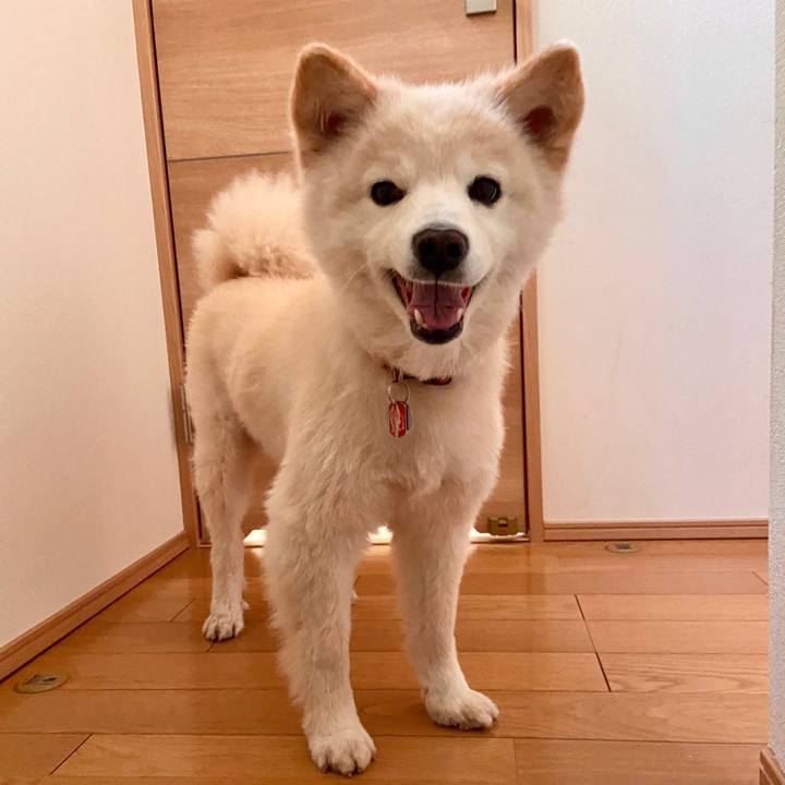 2fcefcdb 7613 4fe9 81bd 521a16e6c710 1689444172021