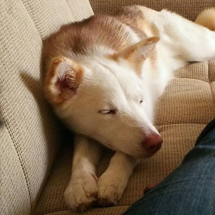 2fcf01bb 5fb4 4ef8 8ed1 c8a5aaeb9905 1512002583276