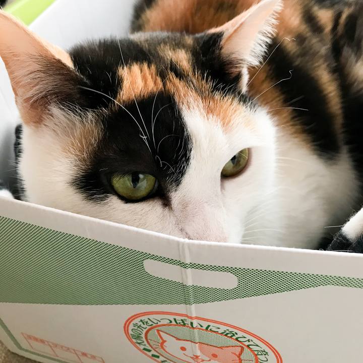 2fcfcdca 835f 4a62 8118 c976067ad1ce 1516334117744