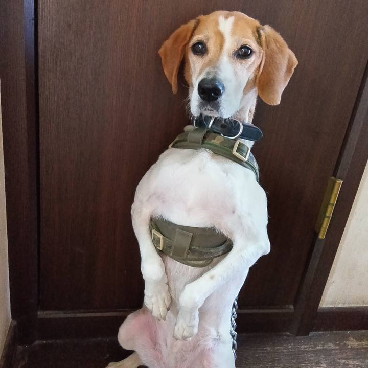 2fcfd0ab acd3 45b4 8ff3 eddd687853d5 1718105076616