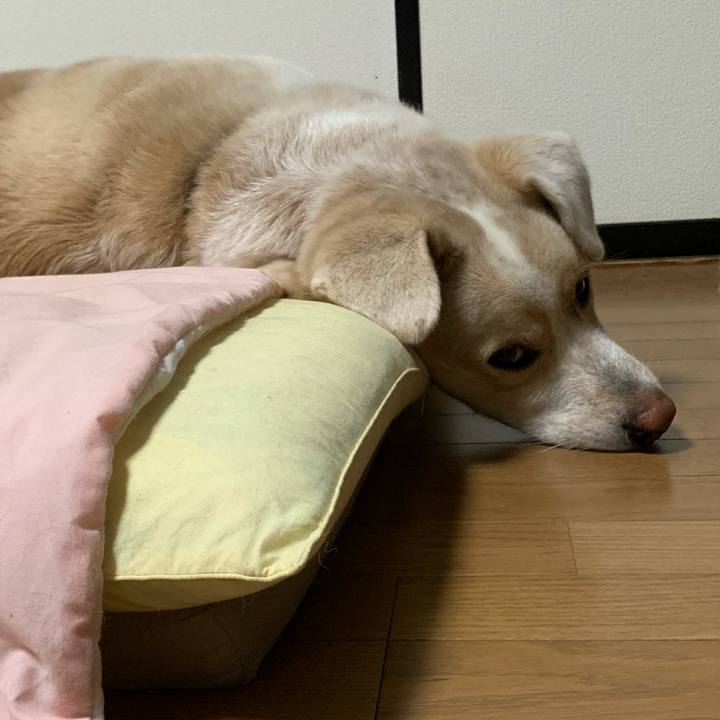 2fd0134b 507e 4ef6 a81d facc74da2e81 1566478452850