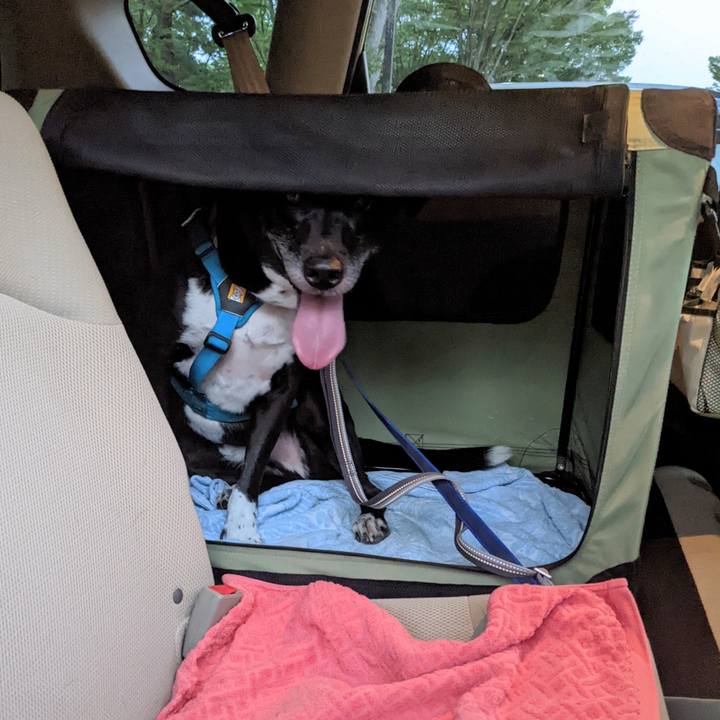 2fd06243 5e3e 4af6 8137 ce82706d176d 1692355127163