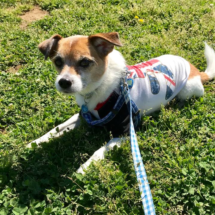 2fd06b23 84d5 4b74 9694 2f7c9313a2bc 1557295555937