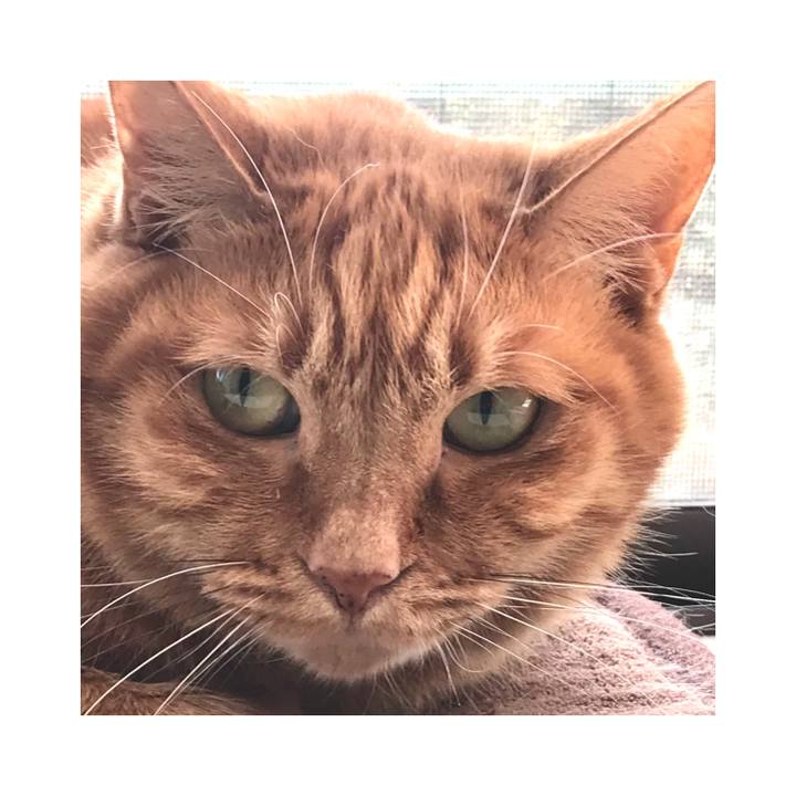 2fd0a1a2 6f32 44a8 ab11 7257a7627ccf 1608086241275