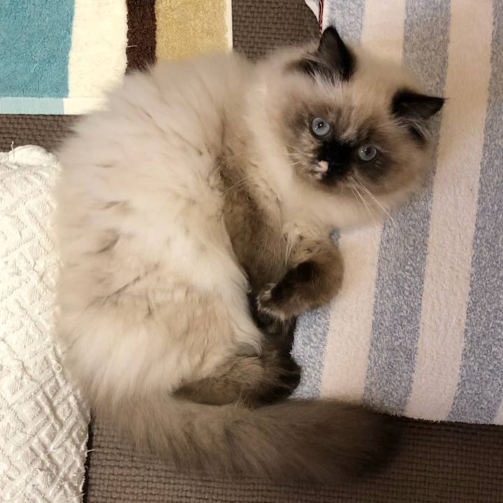 2fd0aea6 f0db 4d9b 8609 605e61de000e 1635579644653