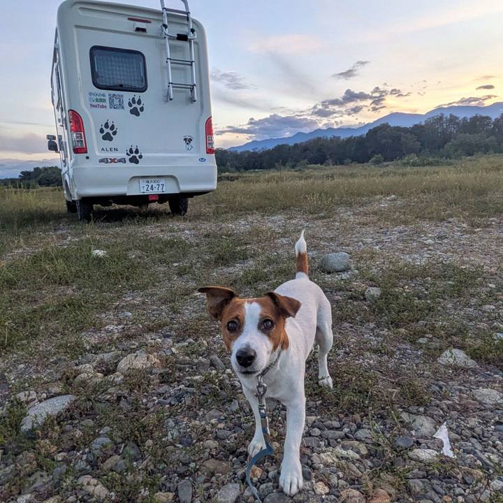 2fd0ba45 adc6 4931 b9e1 baa67499b674 1758544141280