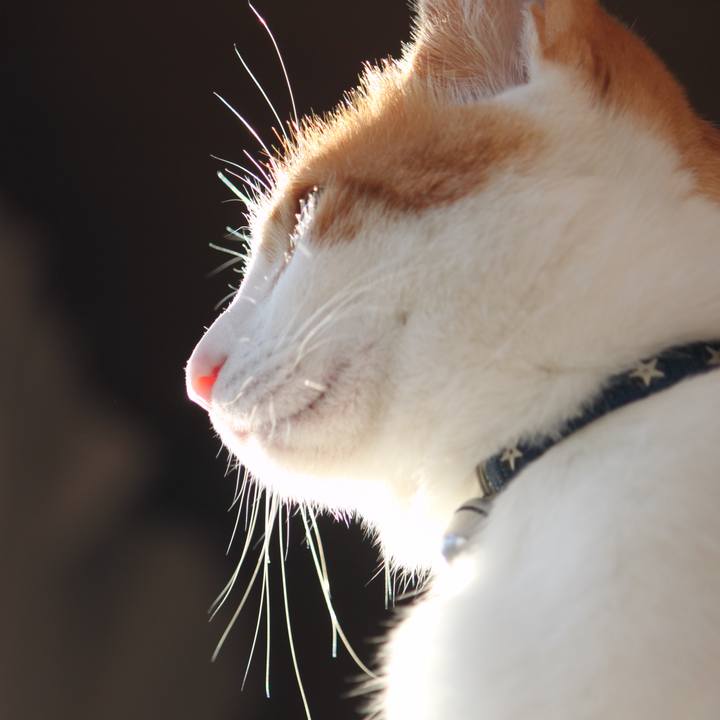 2fd0c9b0 758f 469f 963b 671822215e59 1518946562611