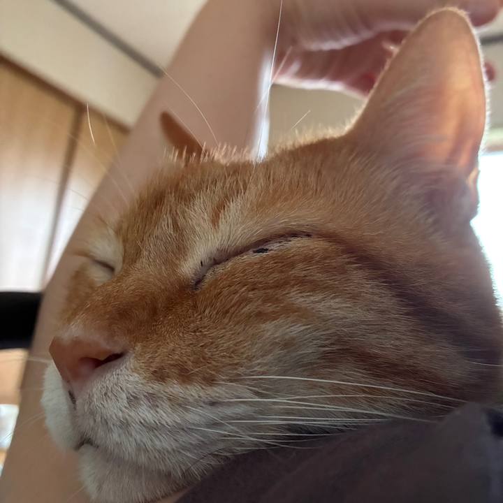 2fd0e0d0 7173 4292 89bb d7823252c4fc 1754341171454