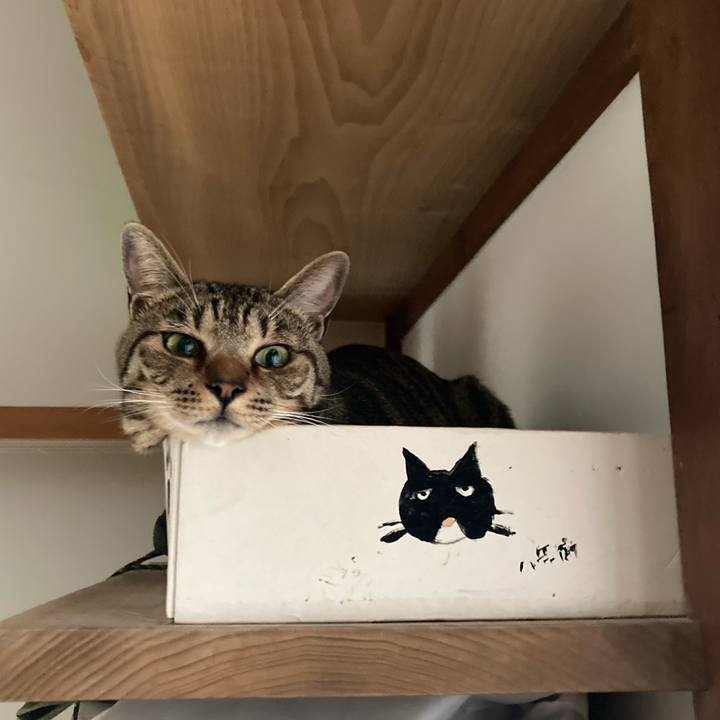 2fd0ec3d 5587 4c6d a0fd 7ca45b676c2f 1687557082829