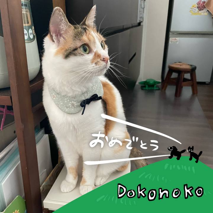 2fd0f0cc a790 4d0e af1e d4bef48768be 1685936017817