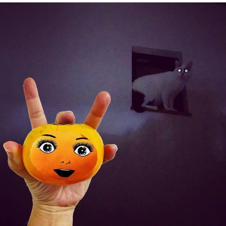 2fd0fa68 99ed 412c 9d26 d85f75f4692f 1570636099879