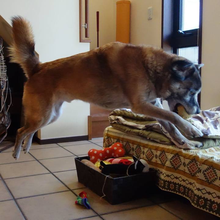 2fd10eb9 7d30 4a37 80b8 745cbeb468a0 1567816350201