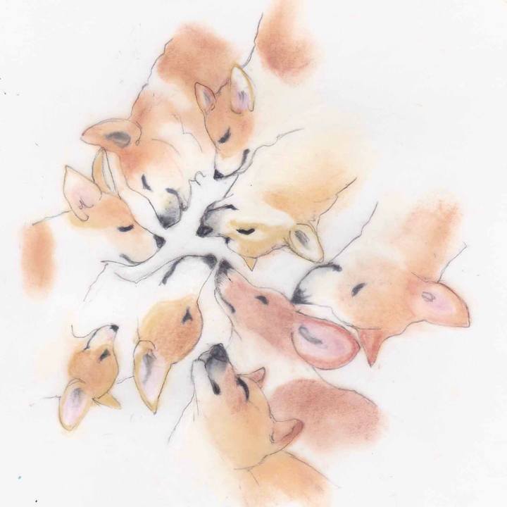 2fd134de 7bbf 483a 9fa0 551b89c2d07b 1592409138371