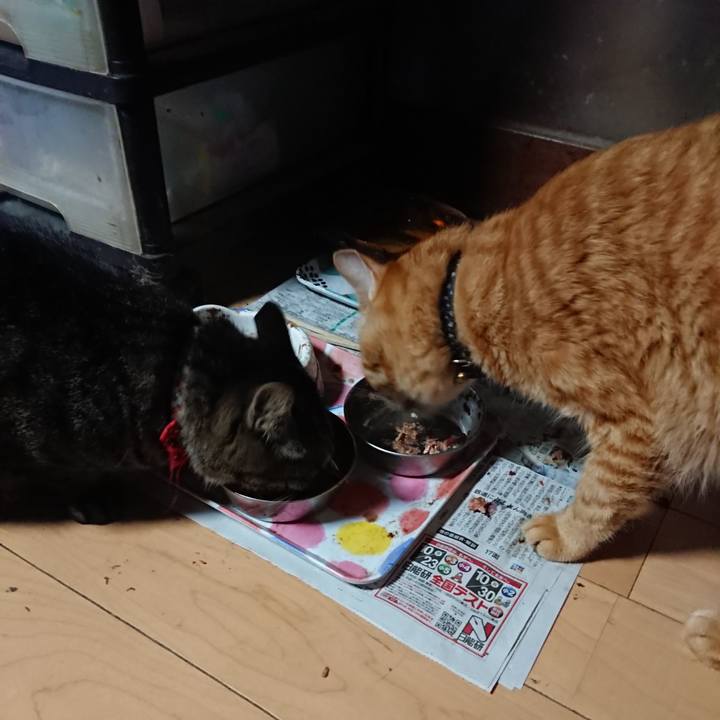 2fd13c0f f89d 40cc b9ee 33a01df6cb8d 1662238548573