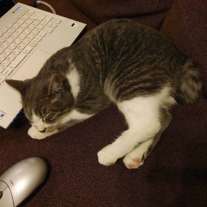 2fd1462e 6854 486d b969 d27589febca9 1570794279244