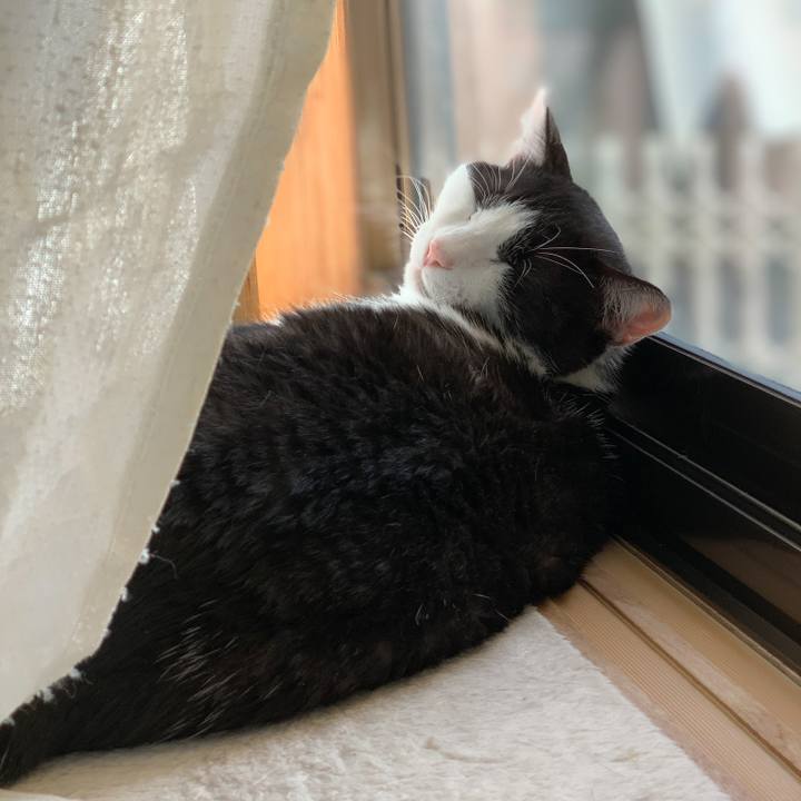 2fd14b54 8932 4a38 956b 545d9629e1c2 1574900689037