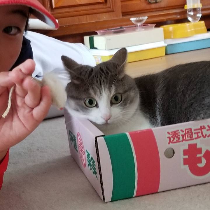 2fd164af 8a20 40a0 b1fe 934054a2902c 1536571041055