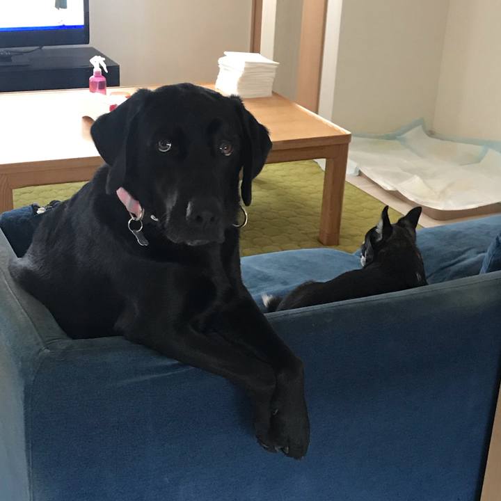 2fd177ac ee42 4e62 bafa 29d1ead51f8e 1560897808981