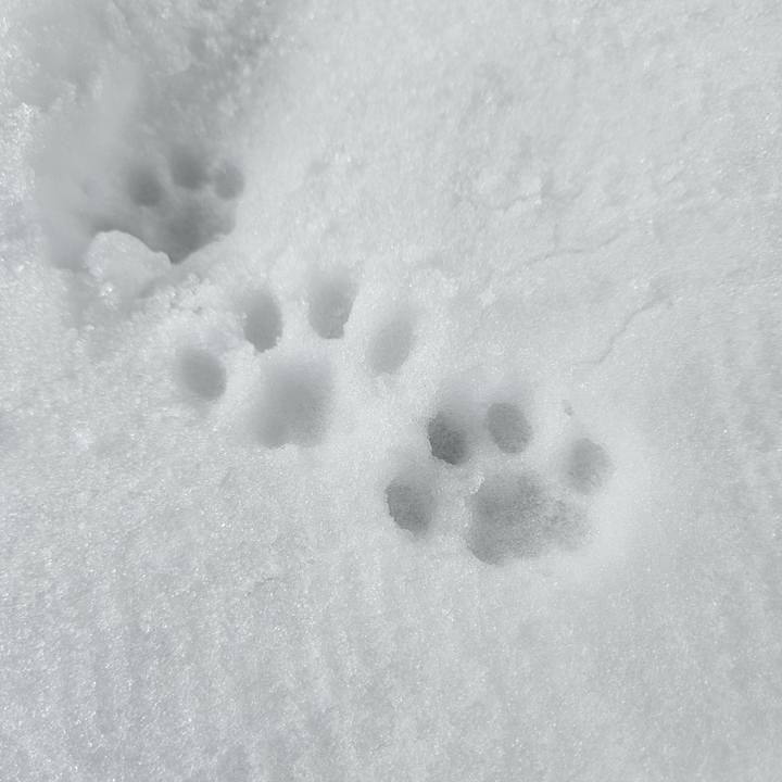 2fd19c11 abb8 424a 8839 d3e2cd3cb17c 1706340195911