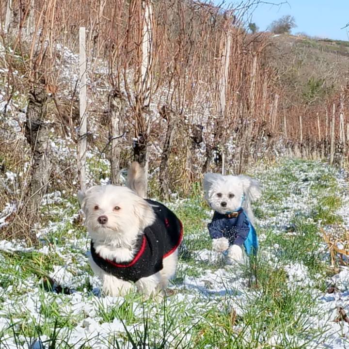 2fd1a146 5c50 4b99 b30c a90ec2b3d6de 1768517935168