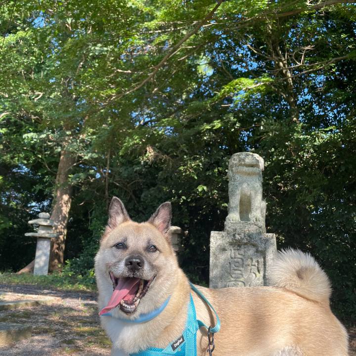 2fd1f5bb 4a3b 4b06 8b49 95f0dc46587e 1723376481675