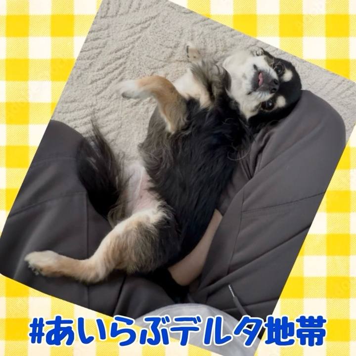 2fd21a12 1241 48da 9582 fcedfa9b6beb 1745049047581